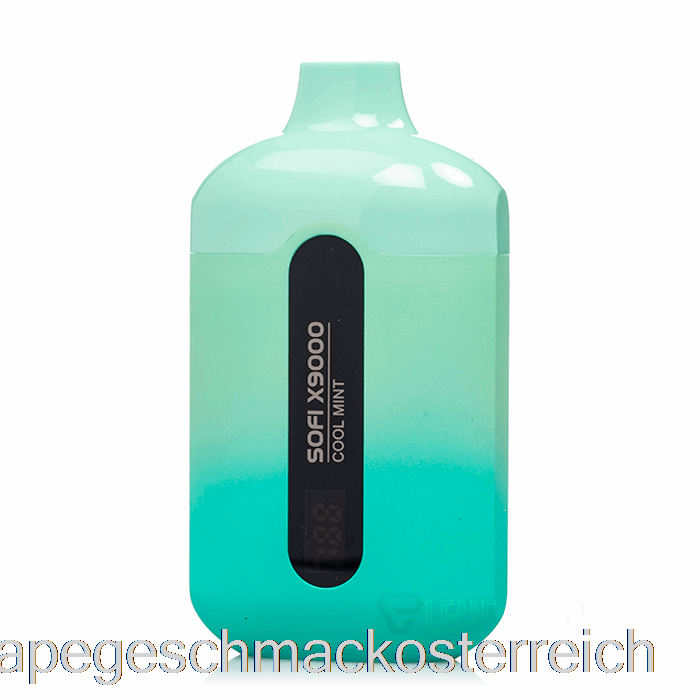 Sofi X9000 0 % Null Nikotin Smart Einweg-E-Zigarette Mit Coolem Mint-Vape-Geschmack